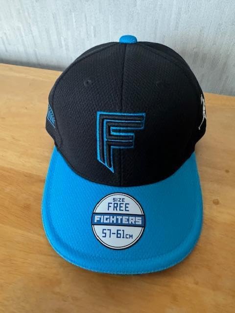 ファイターズ エスコンフィールド1周年シリーズ レプリカ